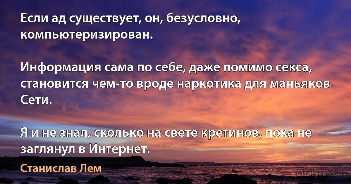 Если ад существует, он, безусловно, компьютеризирован.

Информация сама по себе, даже помимо секса, становится чем-то вроде наркотика для маньяков Сети.

Я и не знал, сколько на свете кретинов, пока не заглянул в Интернет. (Станислав Лем)