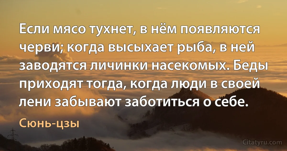 Если мясо тухнет, в нём появляются черви; когда высыхает рыба, в ней заводятся личинки насекомых. Беды приходят тогда, когда люди в своей лени забывают заботиться о себе. (Сюнь-цзы)