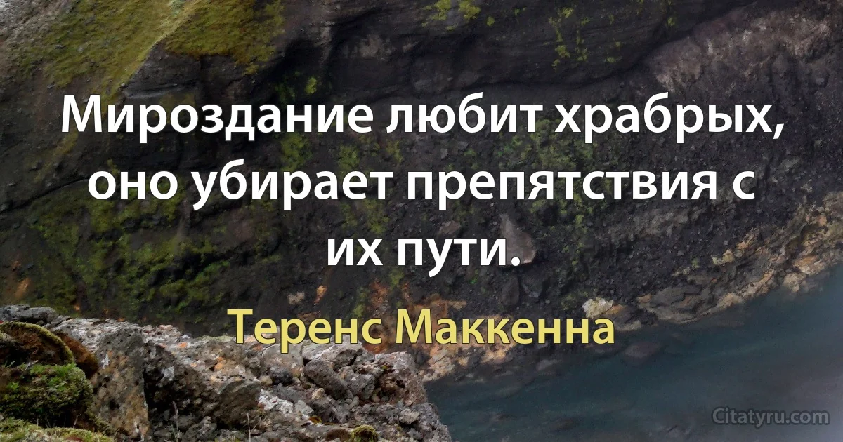 Мироздание любит храбрых, оно убирает препятствия с их пути. (Теренс Маккенна)