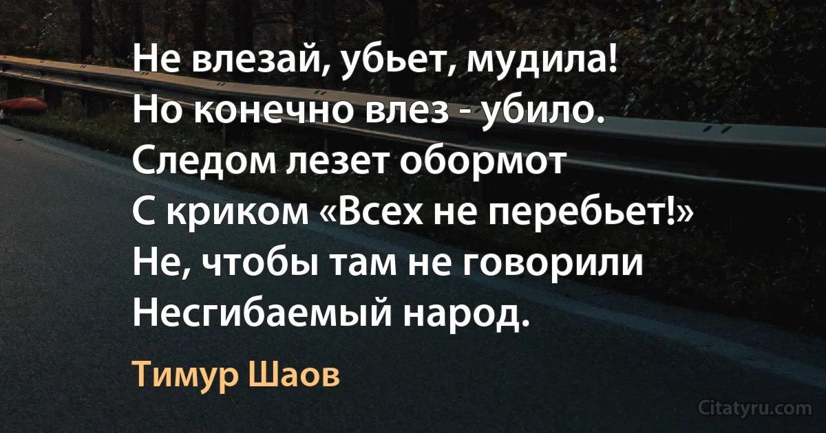 Не влезай, убьет, мудила!
Но конечно влез - убило.
Следом лезет обормот
С криком «Всех не перебьет!»
Не, чтобы там не говорили
Несгибаемый народ. (Тимур Шаов)