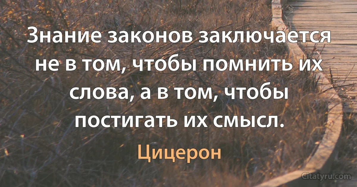 Знание законов заключается не в том, чтобы помнить их слова, а в том, чтобы постигать их смысл. (Цицерон)