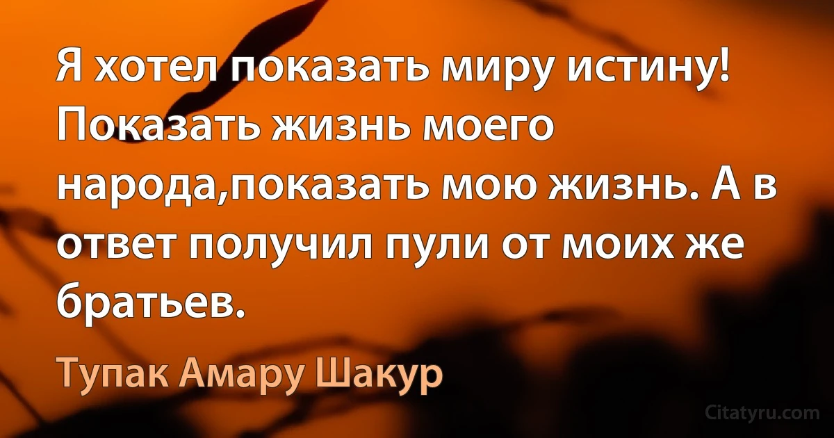 Я хотел показать миру истину! Показать жизнь моего народа,показать мою жизнь. А в ответ получил пули от моих же братьев. (Тупак Амару Шакур)