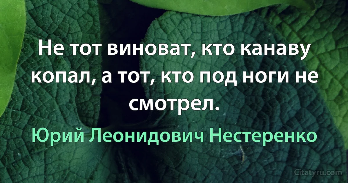 Не тот виноват, кто канаву копал, а тот, кто под ноги не смотрел. (Юрий Леонидович Нестеренко)