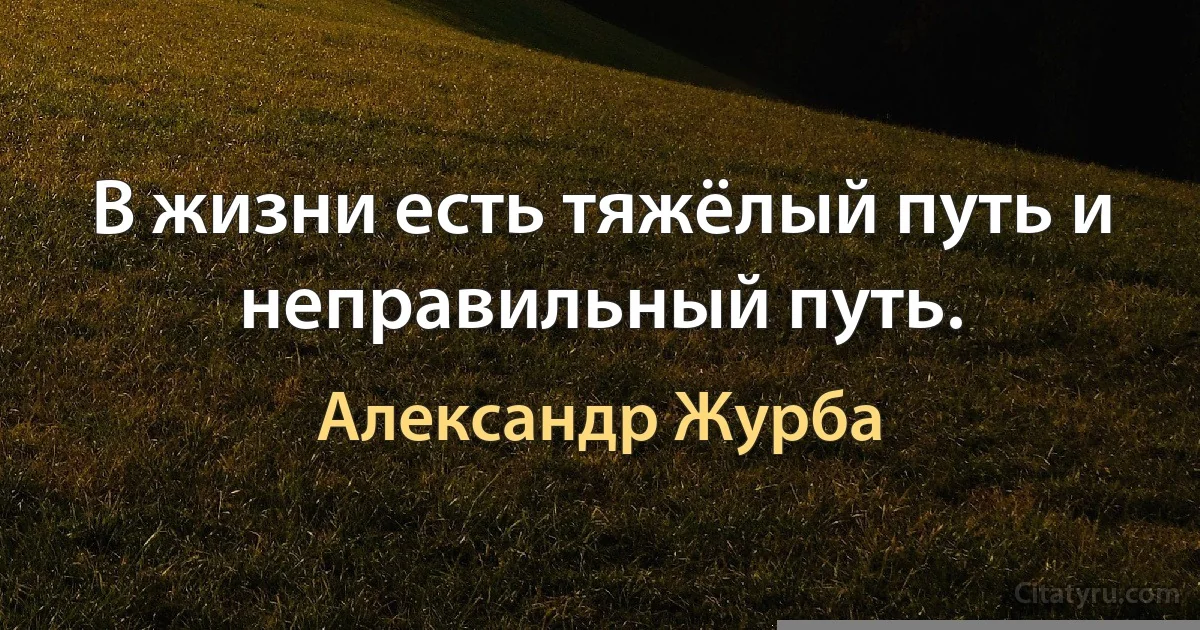 В жизни есть тяжёлый путь и неправильный путь. (Александр Журба)