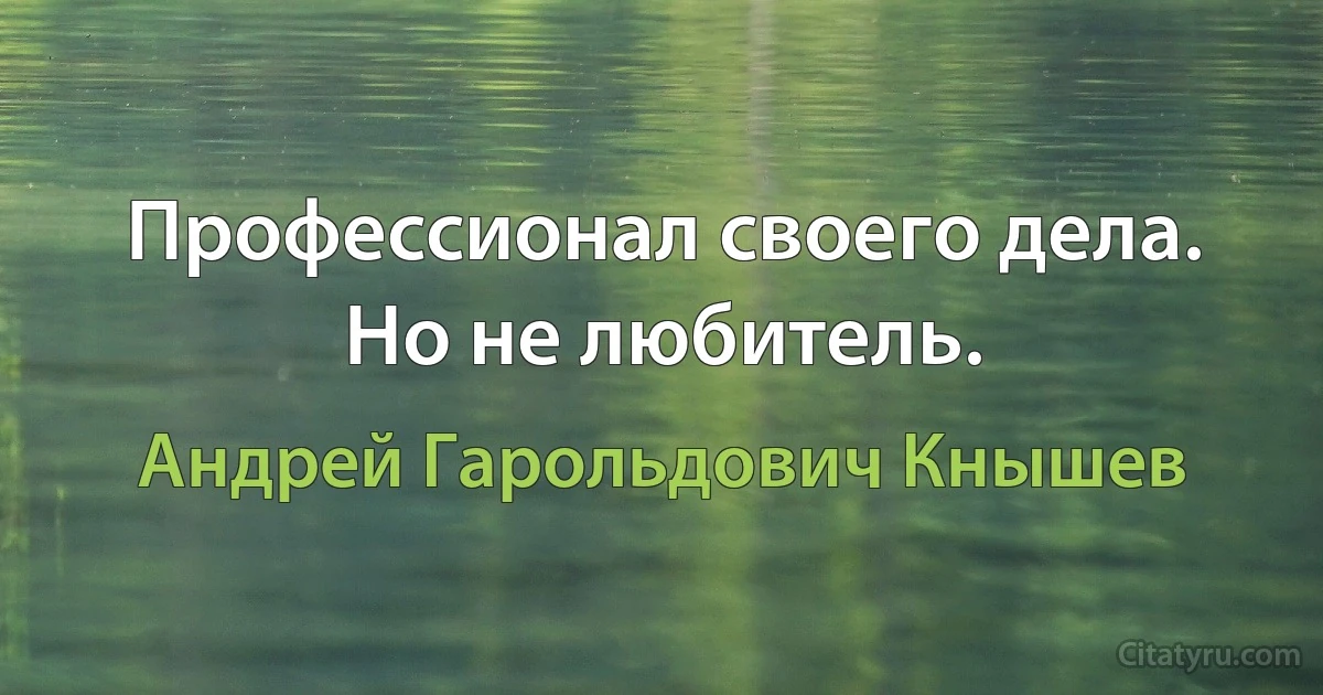 Профессионал своего дела. Но не любитель. (Андрей Гарольдович Кнышев)