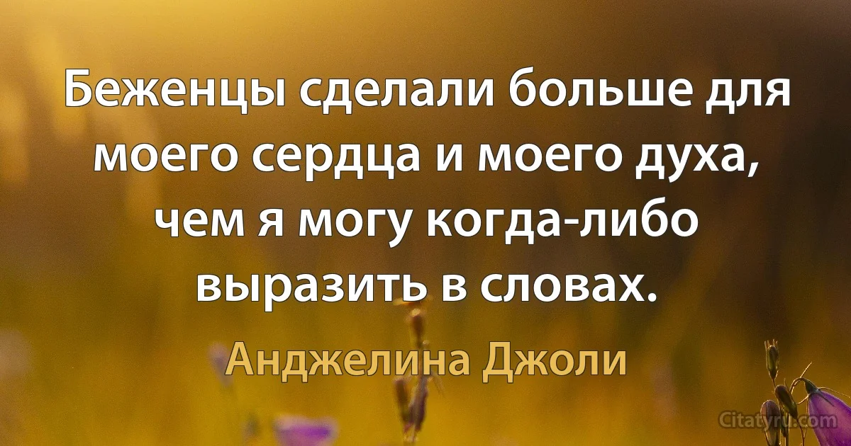 Беженцы сделали больше для моего сердца и моего духа, чем я могу когда-либо выразить в словах. (Анджелина Джоли)