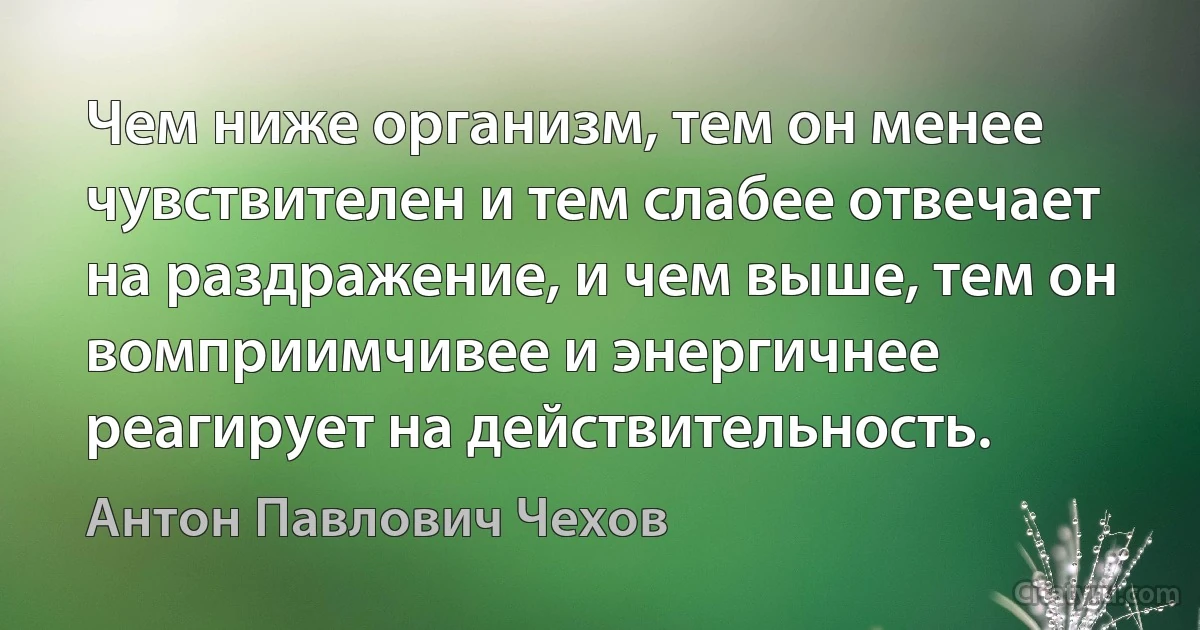 Чем ниже организм, тем он менее чувствителен и тем слабее отвечает на раздражение, и чем выше, тем он вомприимчивее и энергичнее реагирует на действительность. (Антон Павлович Чехов)