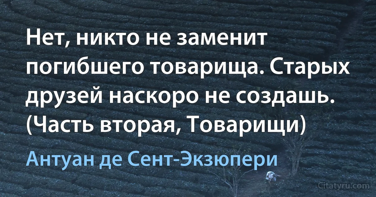 Нет, никто не заменит погибшего товарища. Старых друзей наскоро не создашь. (Часть вторая, Товарищи) (Антуан де Сент-Экзюпери)