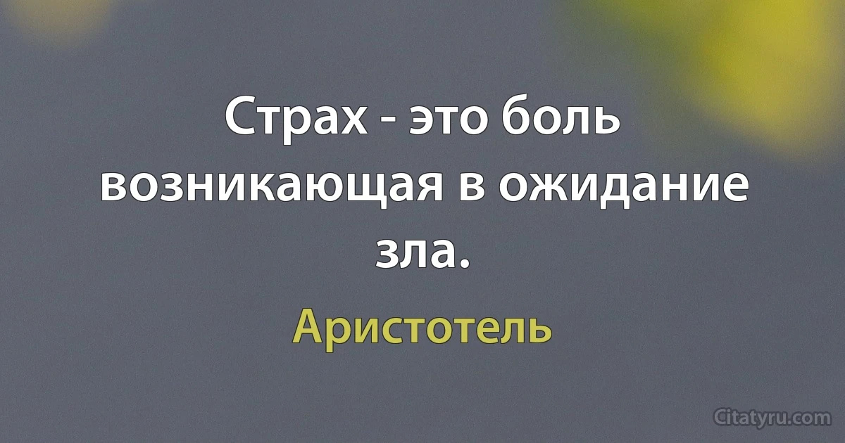 Страх - это боль возникающая в ожидание зла. (Аристотель)