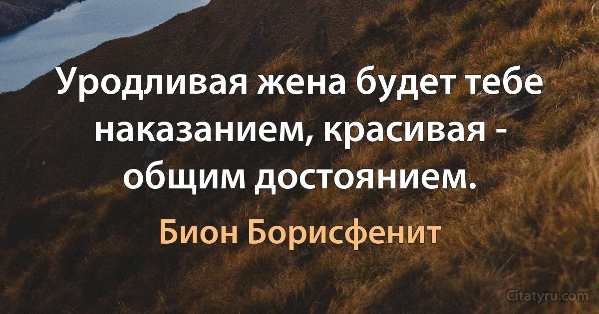 Уродливая жена будет тебе наказанием, красивая - общим достоянием. (Бион Борисфенит)