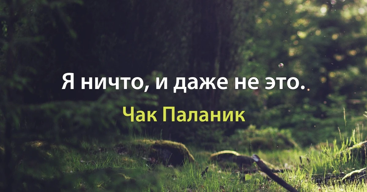 Я ничто, и даже не это. (Чак Паланик)