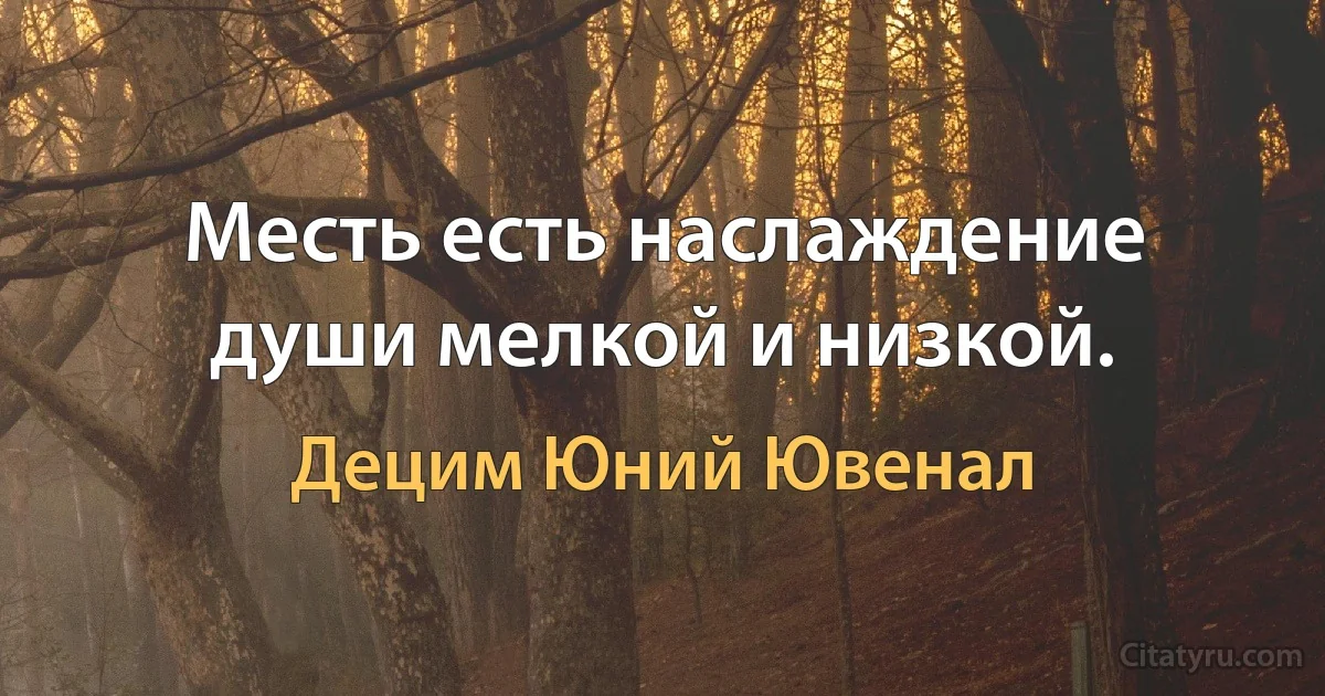 Месть есть наслаждение души мелкой и низкой. (Децим Юний Ювенал)