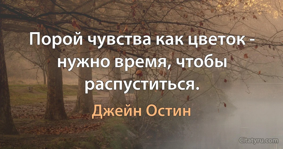 Порой чувства как цветок - нужно время, чтобы распуститься. (Джейн Остин)