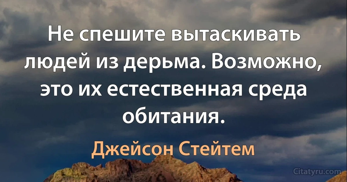 Не спешите вытаскивать людей из дерьма. Возможно, это их естественная среда обитания. (Джейсон Стейтем)