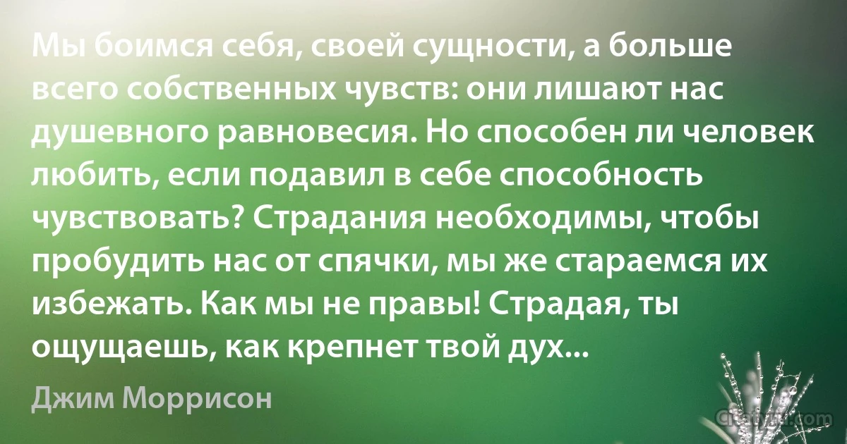 Мы боимся себя, своей сущности, а больше всего собственных чувств: они лишают нас душевного равновесия. Но способен ли человек любить, если подавил в себе способность чувствовать? Страдания необходимы, чтобы пробудить нас от спячки, мы же стараемся их избежать. Как мы не правы! Страдая, ты ощущаешь, как крепнет твой дух... (Джим Моррисон)