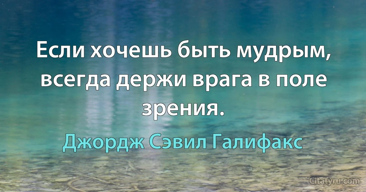 Если хочешь быть мудрым, всегда держи врага в поле зрения. (Джордж Сэвил Галифакс)