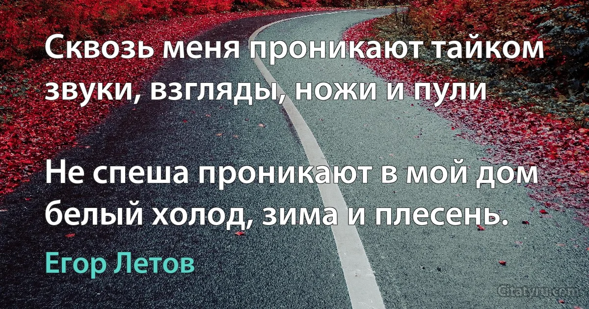 Сквозь меня проникают тайком звуки, взгляды, ножи и пули

Не спеша проникают в мой дом белый холод, зима и плесень. (Егор Летов)