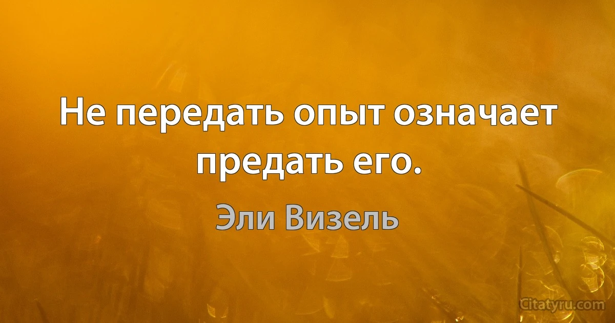 Не передать опыт означает предать его. (Эли Визель)