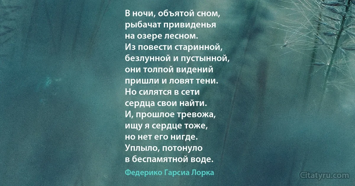 В ночи, объятой сном,
рыбачат привиденья
на озере лесном.
Из повести старинной,
безлунной и пустынной,
они толпой видений
пришли и ловят тени.
Но силятся в сети
сердца свои найти.
И, прошлое тревожа,
ищу я сердце тоже,
но нет его нигде.
Уплыло, потонуло
в беспамятной воде. (Федерико Гарсиа Лорка)