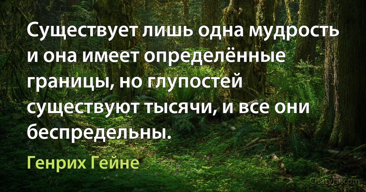 Существует лишь одна мудрость и она имеет определённые границы, но глупостей существуют тысячи, и все они беспредельны. (Генрих Гейне)