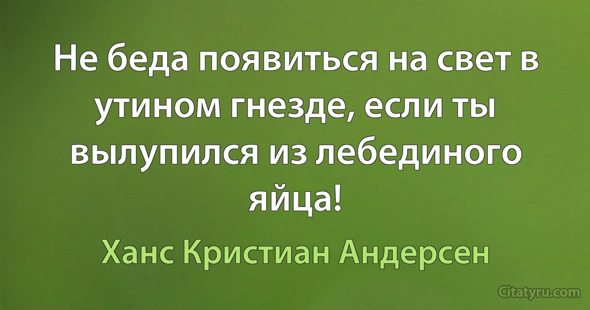 Не беда появиться на свет в утином гнезде, если ты вылупился из лебединого яйца! (Ханс Кристиан Андерсен)