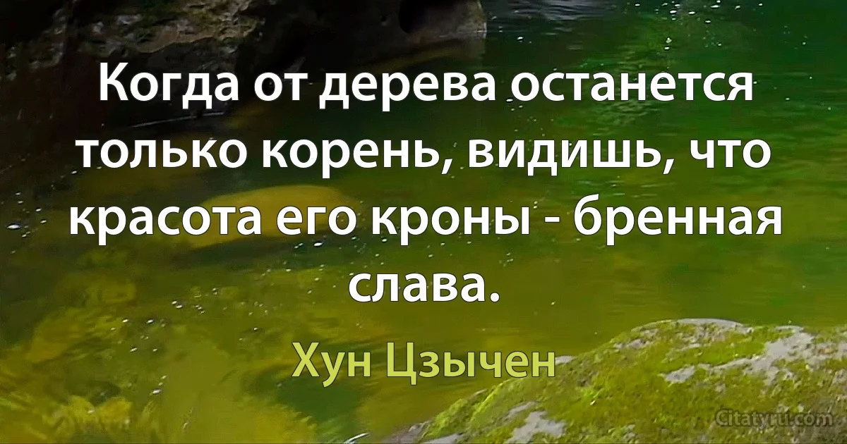 Когда от дерева останется только корень, видишь, что красота его кроны - бренная слава. (Хун Цзычен)