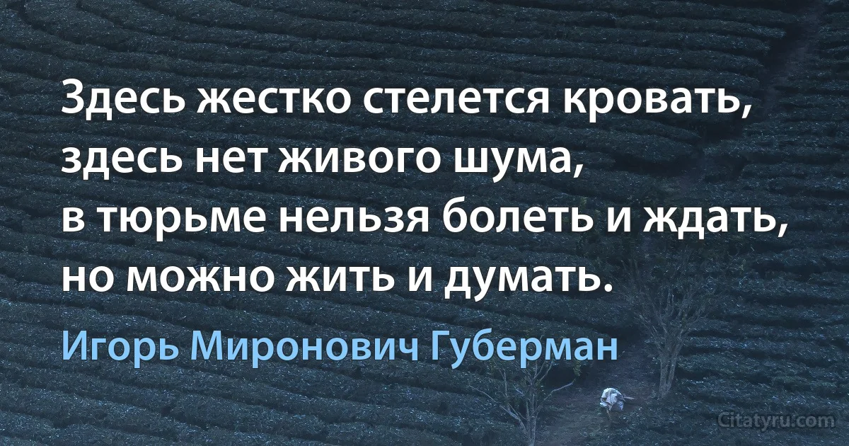 Здесь жестко стелется кровать,
здесь нет живого шума,
в тюрьме нельзя болеть и ждать,
но можно жить и думать. (Игорь Миронович Губерман)