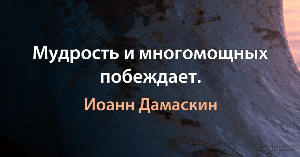 Мудрость и многомощных побеждает. (Иоанн Дамаскин)