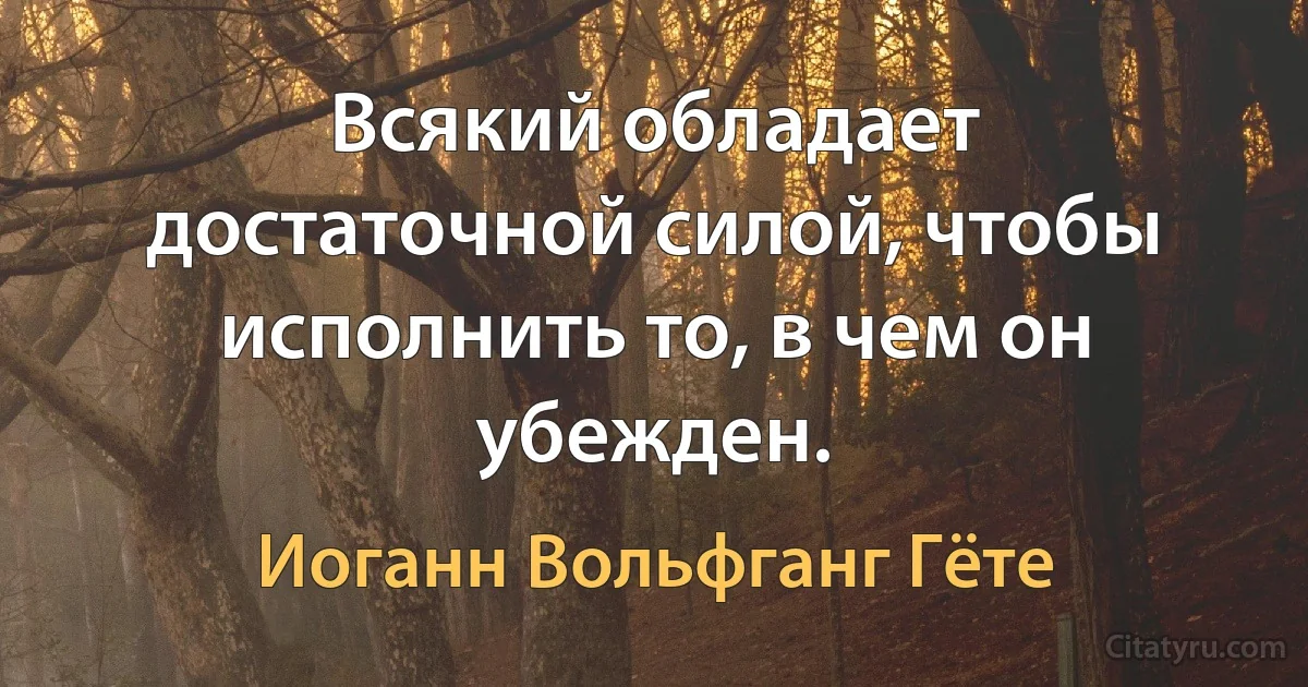 Всякий обладает достаточной силой, чтобы исполнить то, в чем он убежден. (Иоганн Вольфганг Гёте)