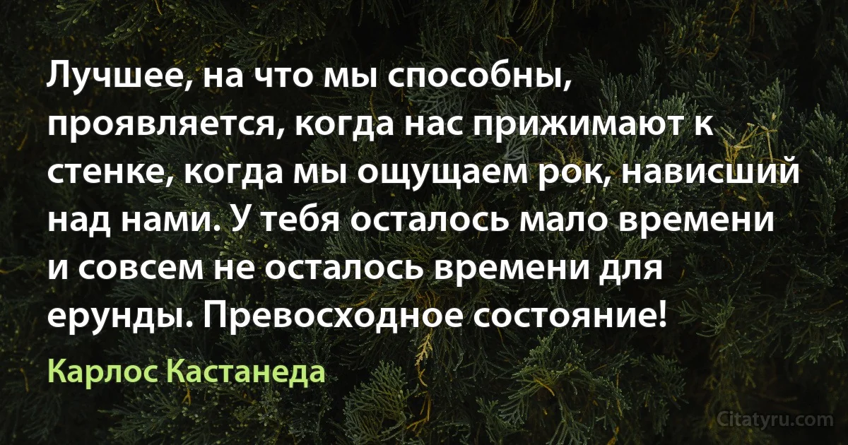 Лучшее, на что мы способны, проявляется, когда нас прижимают к стенке, когда мы ощущаем рок, нависший над нами. У тебя осталось мало времени и совсем не осталось времени для ерунды. Превосходное состояние! (Карлос Кастанеда)