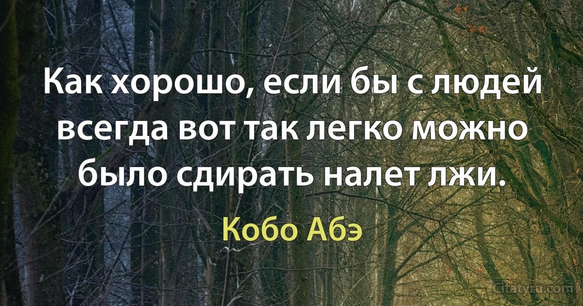 Как хорошо, если бы с людей всегда вот так легко можно было сдирать налет лжи. (Кобо Абэ)