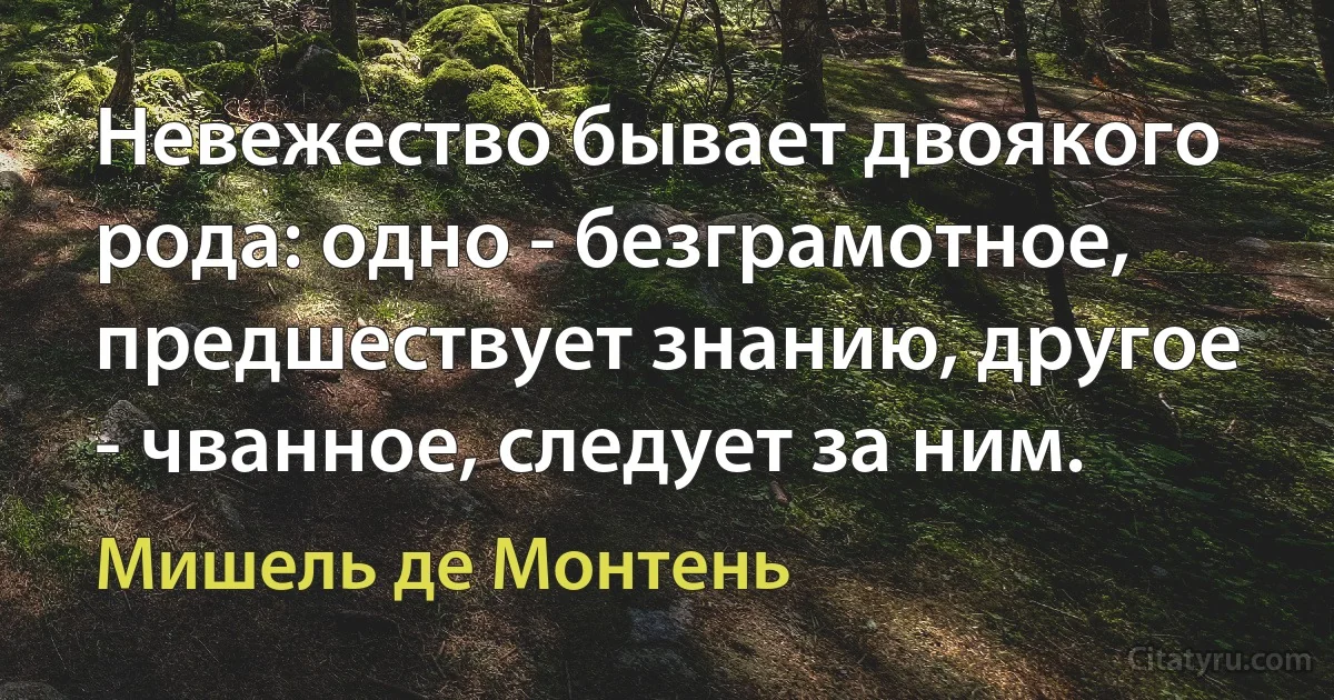 Невежество бывает двоякого рода: одно - безграмотное, предшествует знанию, другое - чванное, следует за ним. (Мишель де Монтень)