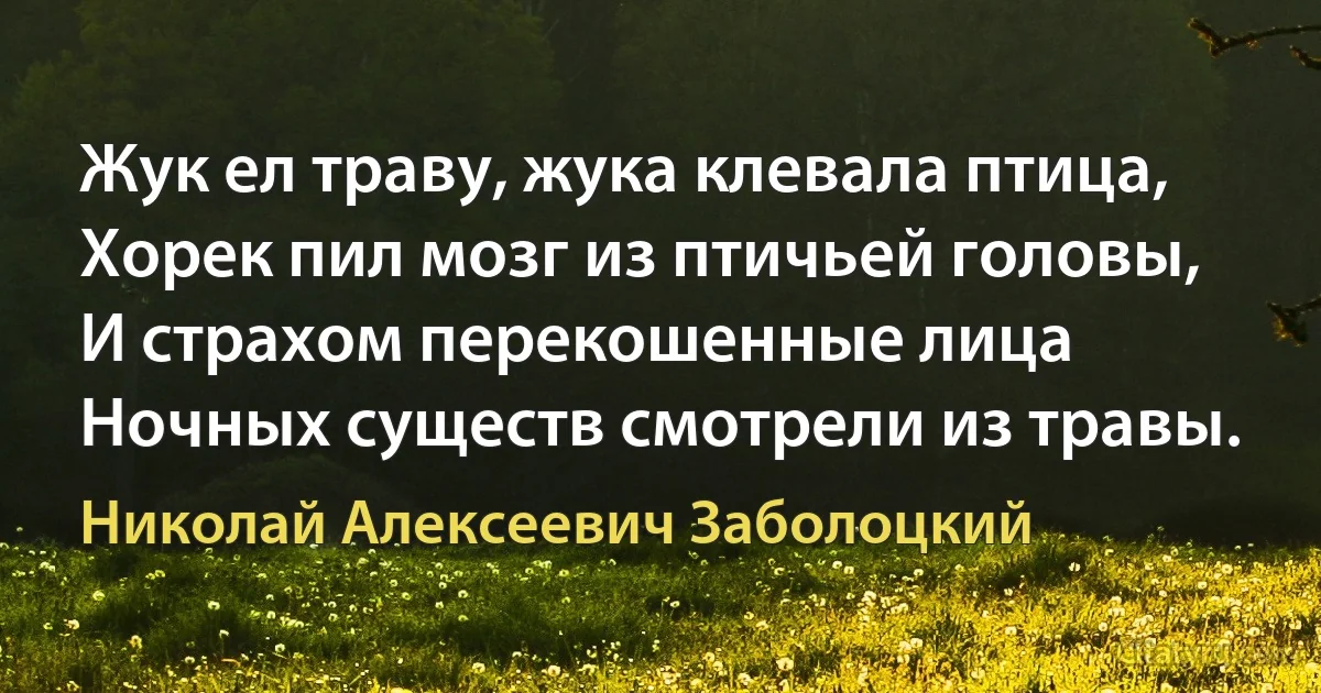 Жук ел траву, жука клевала птица,
Хорек пил мозг из птичьей головы,
И страхом перекошенные лица
Ночных существ смотрели из травы. (Николай Алексеевич Заболоцкий)