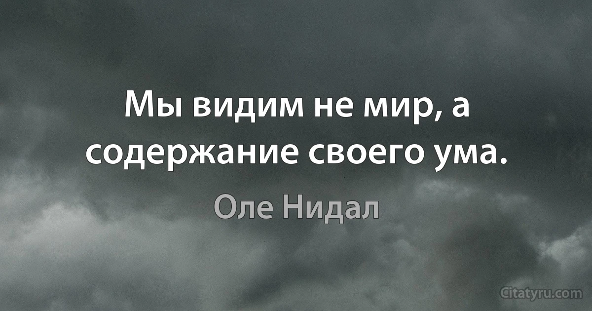 Мы видим не мир, а содержание своего ума. (Оле Нидал)