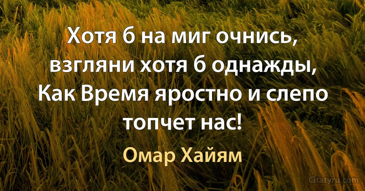 Хотя б на миг очнись, взгляни хотя б однажды,
Как Время яростно и слепо топчет нас! (Омар Хайям)