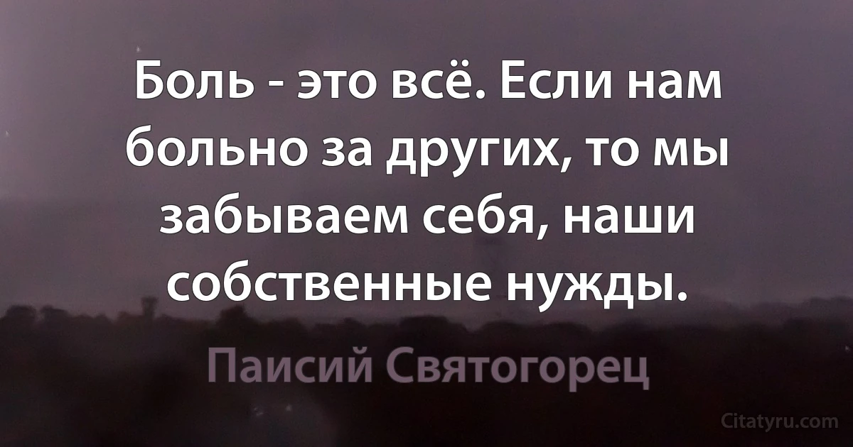 Боль - это всё. Если нам больно за других, то мы забываем себя, наши собственные нужды. (Паисий Святогорец)