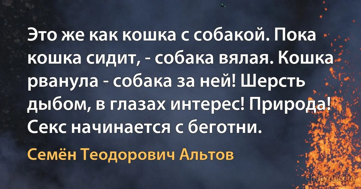 Это же как кошка с собакой. Пока кошка сидит, - собака вялая. Кошка рванула - собака за ней! Шерсть дыбом, в глазах интерес! Природа! Секс начинается с беготни. (Семён Теодорович Альтов)