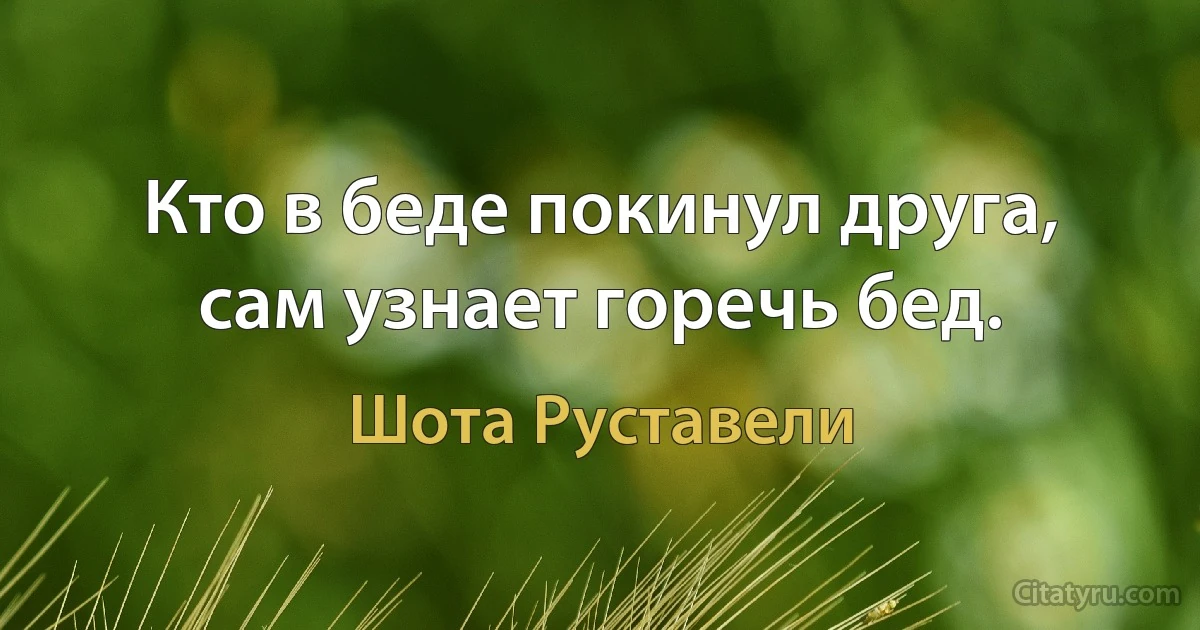 Кто в беде покинул друга, сам узнает горечь бед. (Шота Руставели)