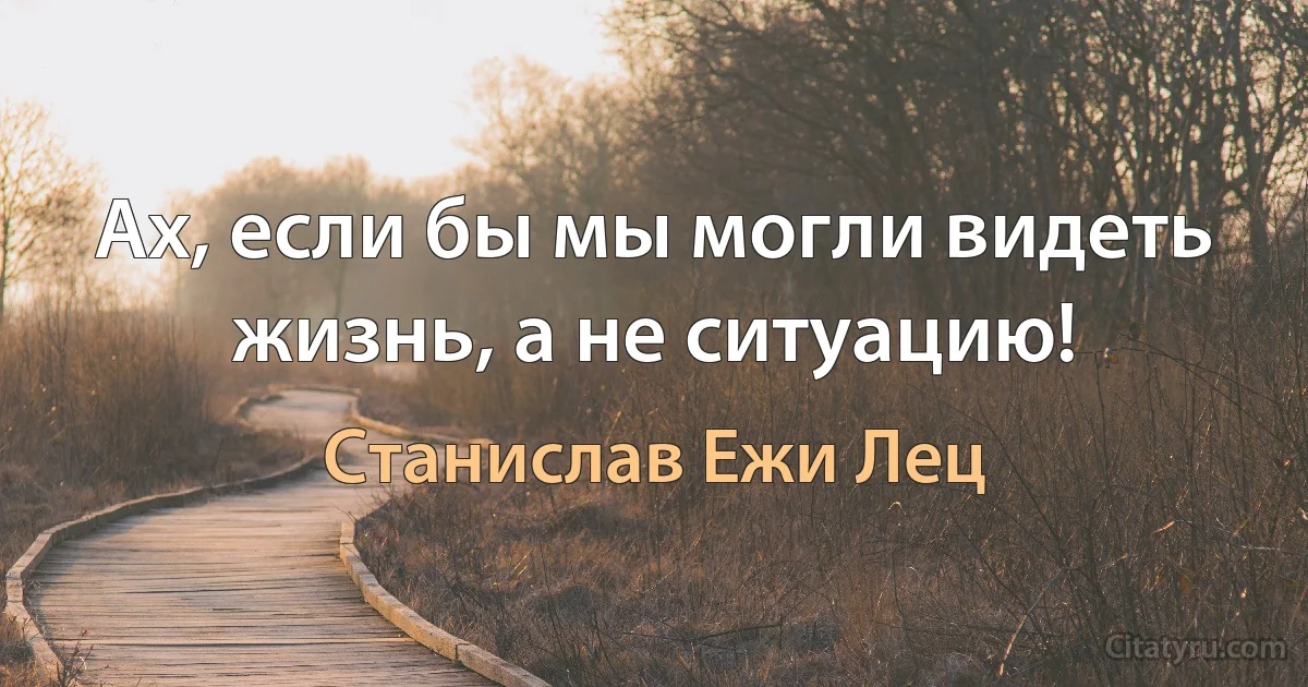 Ах, если бы мы могли видеть жизнь, а не ситуацию! (Станислав Ежи Лец)