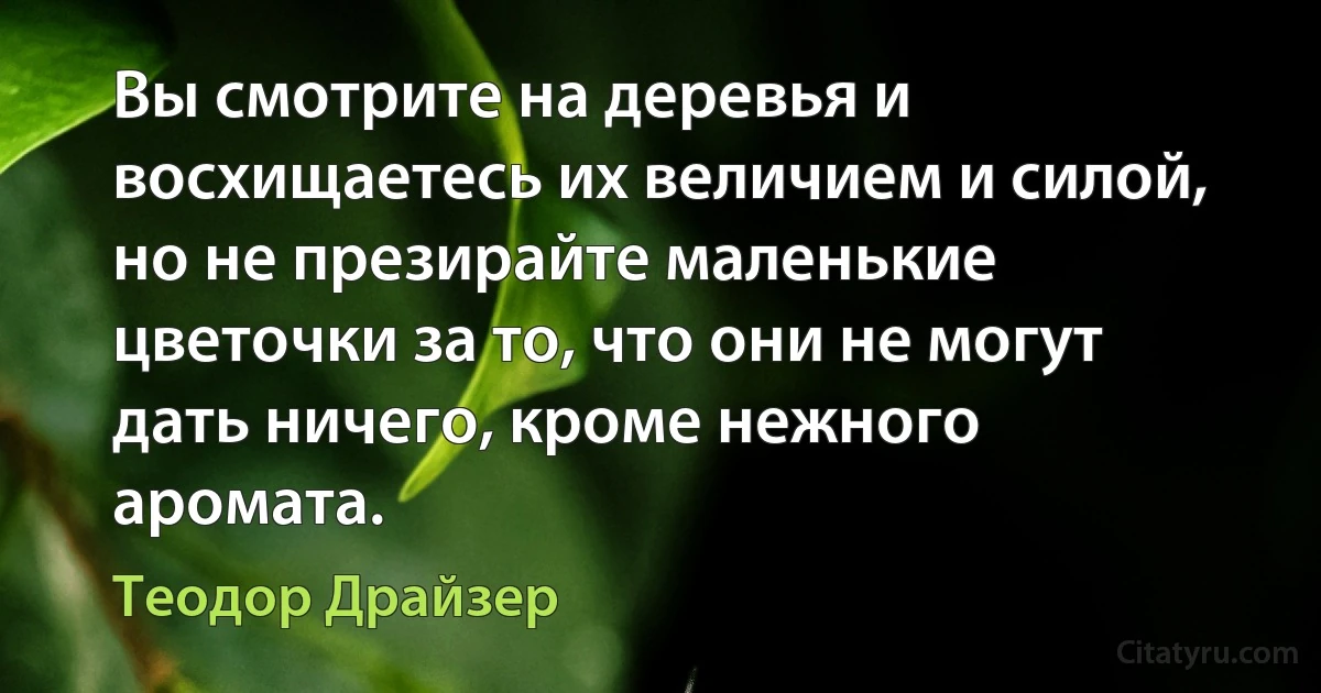 Вы смотрите на деревья и восхищаетесь их величием и силой, но не презирайте маленькие цветочки за то, что они не могут дать ничего, кроме нежного аромата. (Теодор Драйзер)