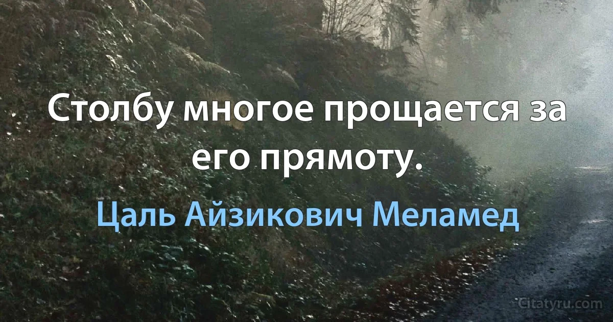 Столбу многое прощается за его прямоту. (Цаль Айзикович Меламед)