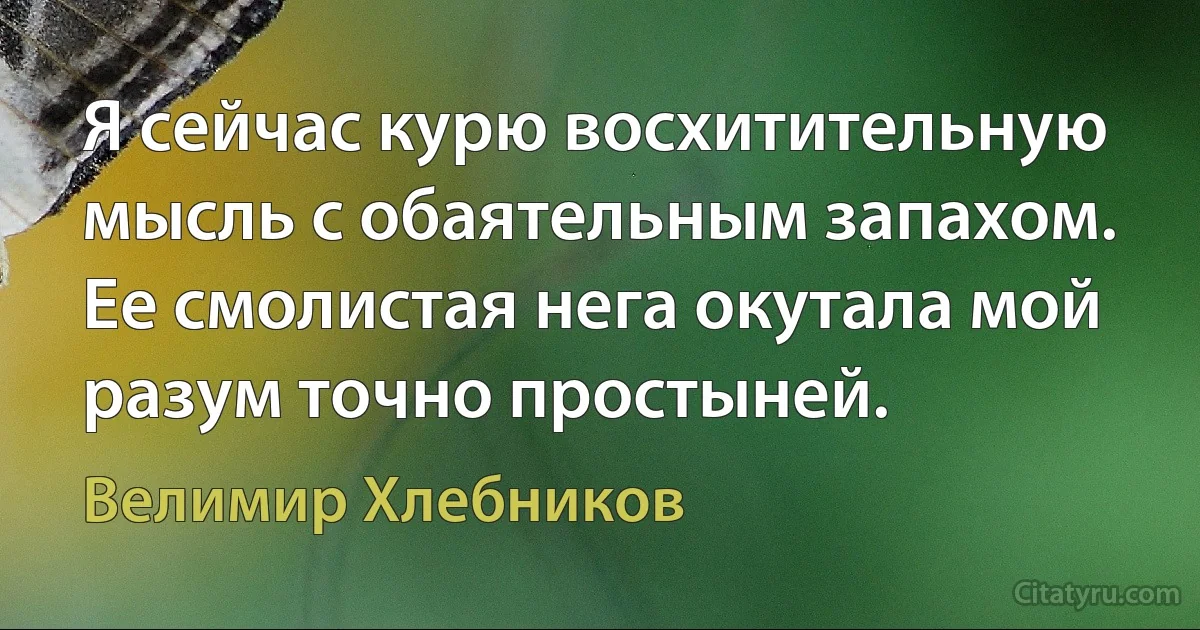 Я сейчас курю восхитительную мысль с обаятельным запахом. Ее смолистая нега окутала мой разум точно простыней. (Велимир Хлебников)