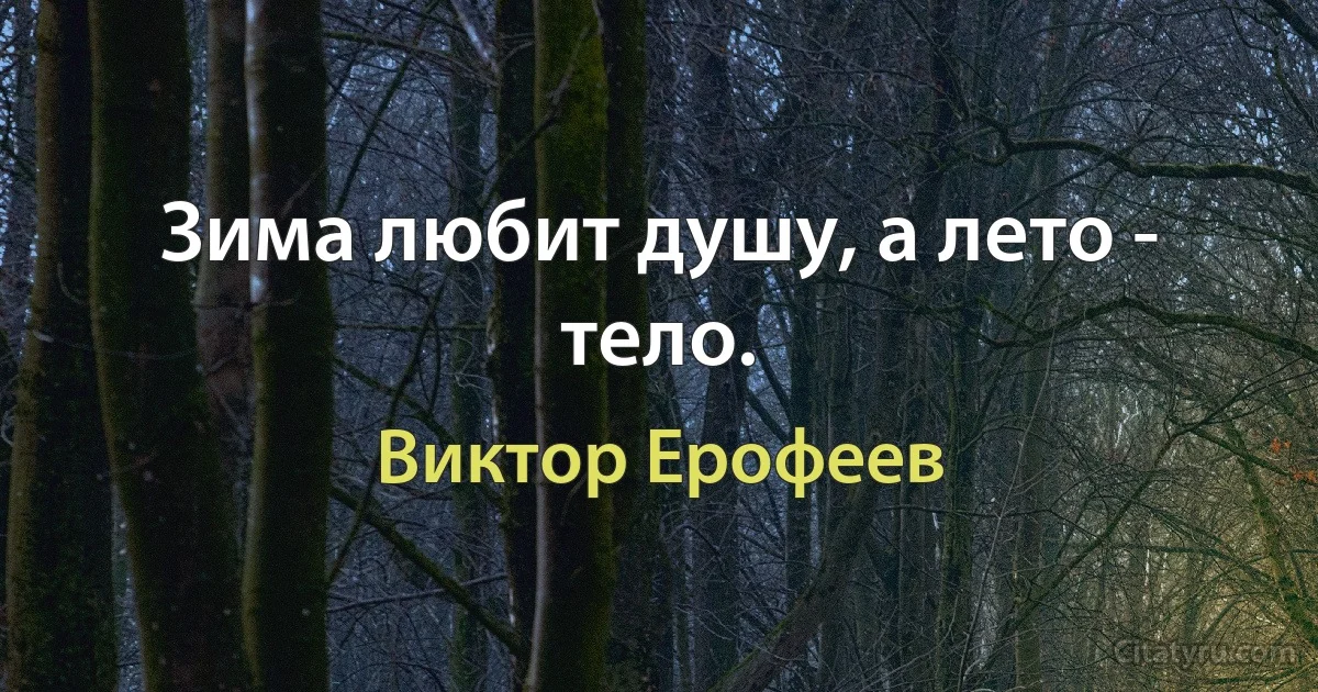 Зима любит душу, а лето - тело. (Виктор Ерофеев)