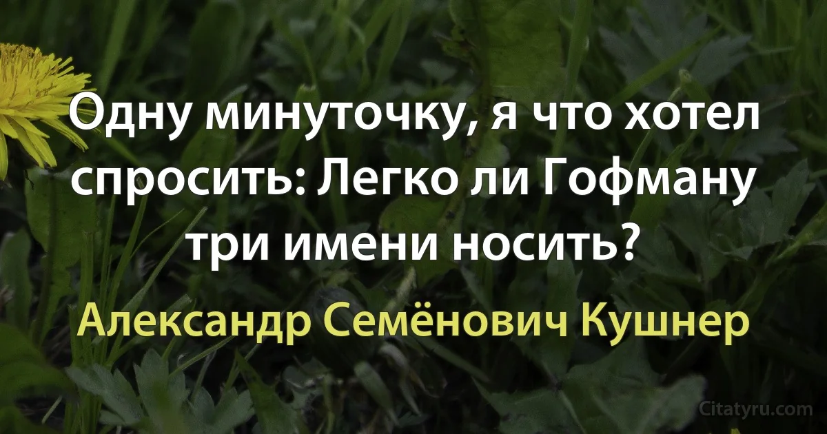 Одну минуточку, я что хотел спросить: Легко ли Гофману три имени носить? (Александр Семёнович Кушнер)