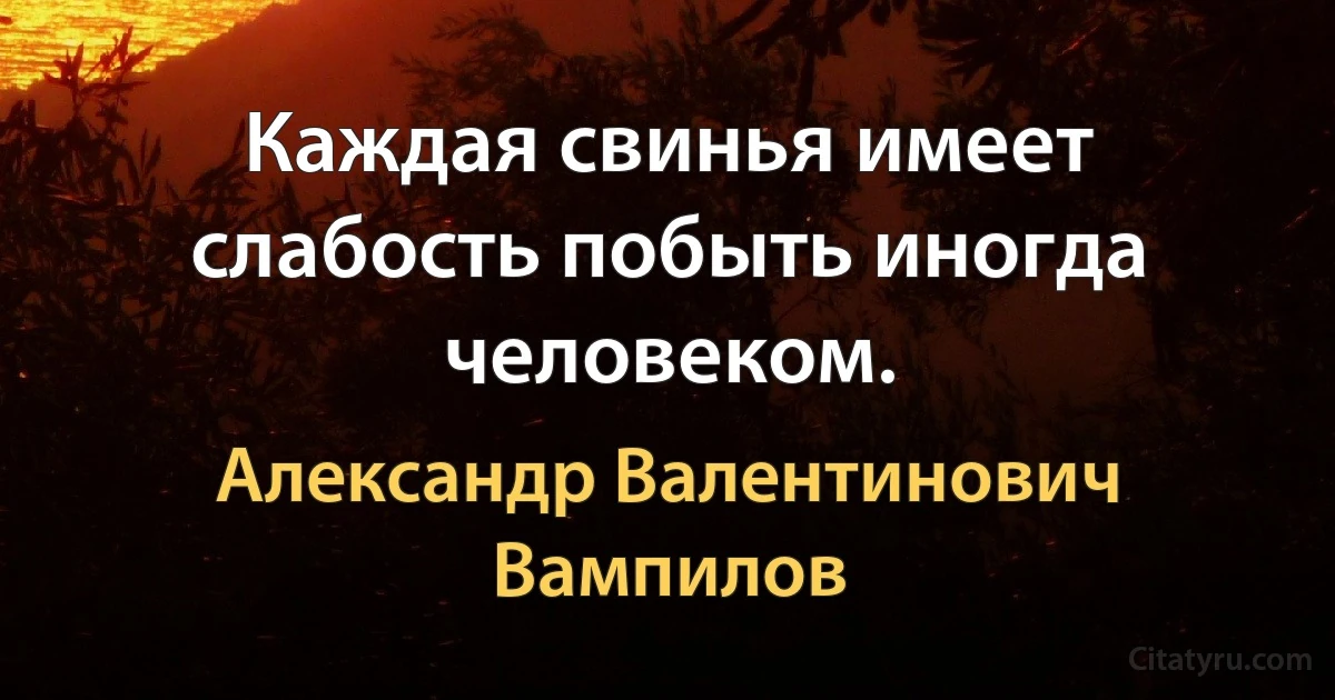 Каждая свинья имеет слабость побыть иногда человеком. (Александр Валентинович Вампилов)