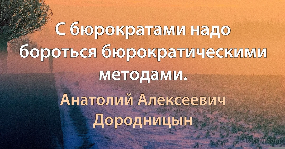 С бюрократами надо бороться бюрократическими методами. (Анатолий Алексеевич Дородницын)