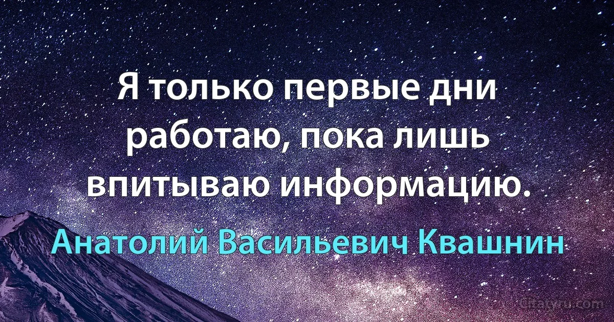 Я только первые дни работаю, пока лишь впитываю информацию. (Анатолий Васильевич Квашнин)