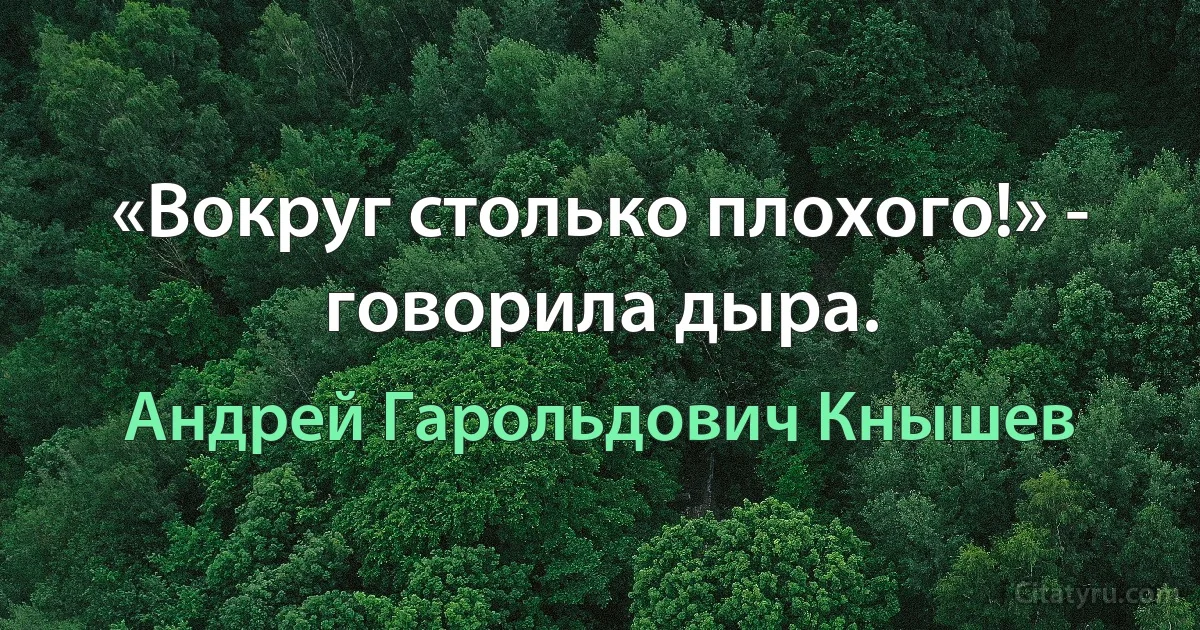 «Вокруг столько плохого!» - говорила дыра. (Андрей Гарольдович Кнышев)