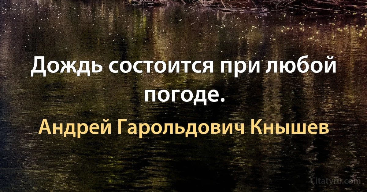 Дождь состоится при любой погоде. (Андрей Гарольдович Кнышев)