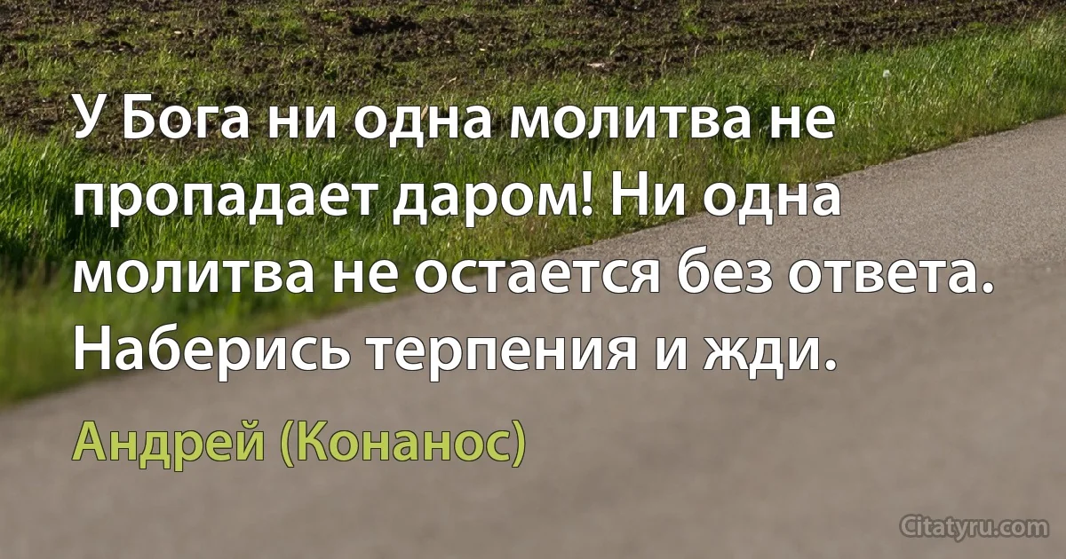 У Бога ни одна молитва не пропадает даром! Ни одна молитва не остается без ответа. Наберись терпения и жди. (Андрей (Конанос))